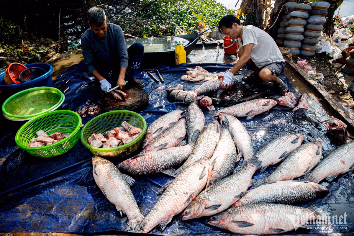 Ban ca kho, nguoi lang Vu Dai kiem tien trieu moi ngay-Hinh-6