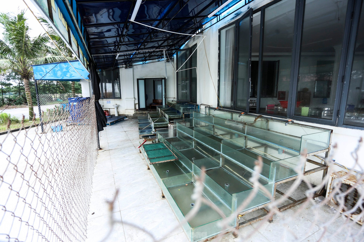 Nhech nhac, ngon ngang du an gan 400 ty bai bien Ha Tinh-Hinh-13