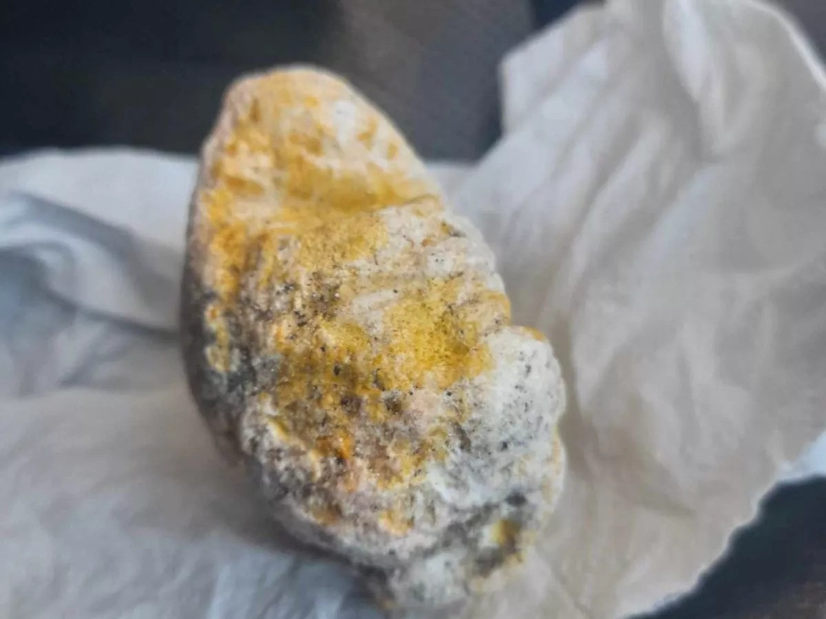 Ngư dân bất ngờ phát hiện “vàng miếng của đại dương“ - Hình 2 Ngu dan bat ngo phat hien “vang mieng cua dai duong“-Hinh-2