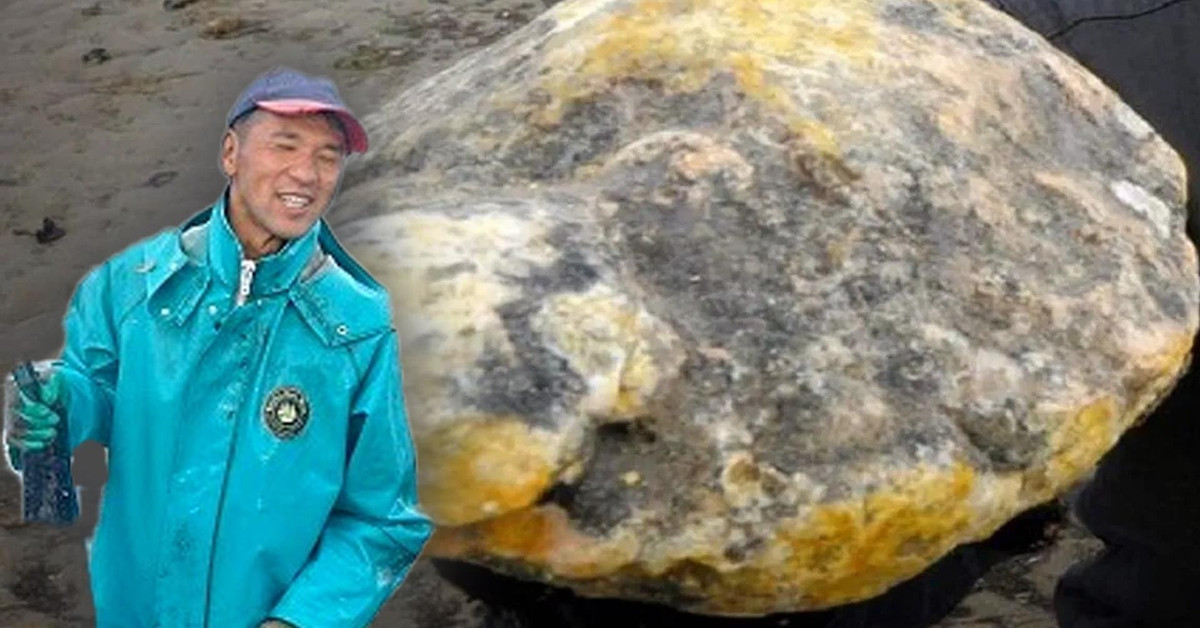 Ngư dân bất ngờ phát hiện “vàng miếng của đại dương“ Ngu dan bat ngo phat hien “vang mieng cua dai duong“