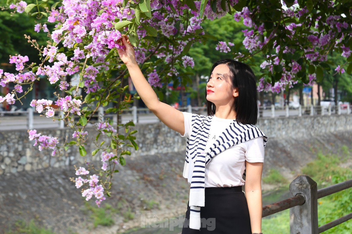 Gioi tre Vinh tha dang trong con duong ngap tran sac tim-Hinh-8