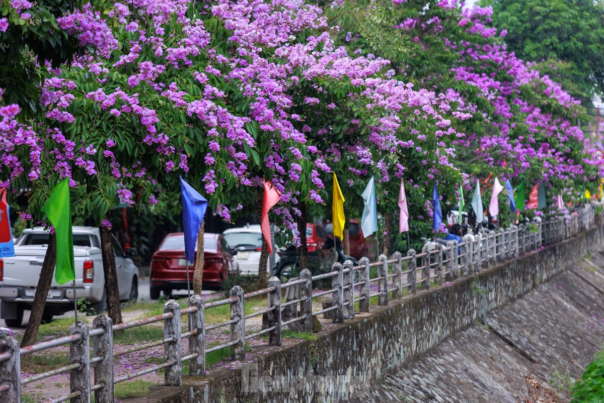 Gioi tre Vinh tha dang trong con duong ngap tran sac tim