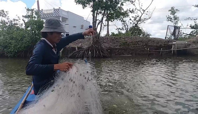 Nhờ cá tên lạ, dân nghèo Cà Mau bỏ túi tiền triệu Nho ca ten la, dan ngheo Ca Mau bo tui tien trieu