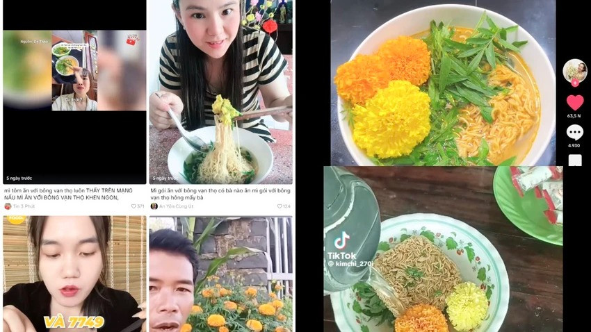 Cuc van tho thanh trend an duoc, bac si cho loi khuyen?