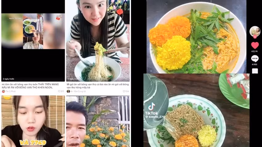 Cuc van tho thanh trend an duoc, bac si cho loi khuyen?