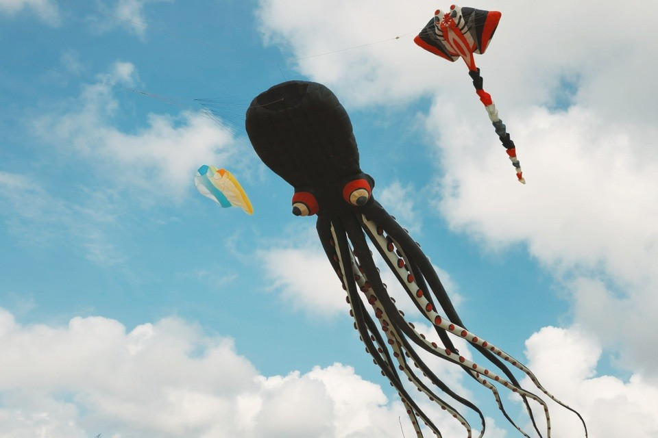 Tho mong va dan da, lang chai Phuoc Hai dep nhu dien anh-Hinh-3