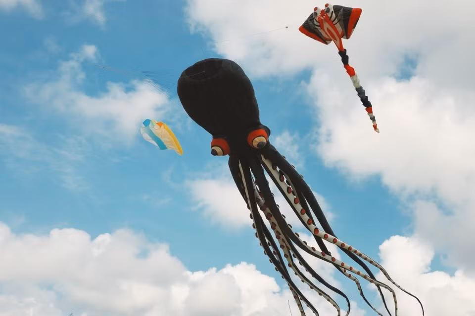 Tho mong va dan da, lang chai Phuoc Hai dep nhu dien anh-Hinh-3