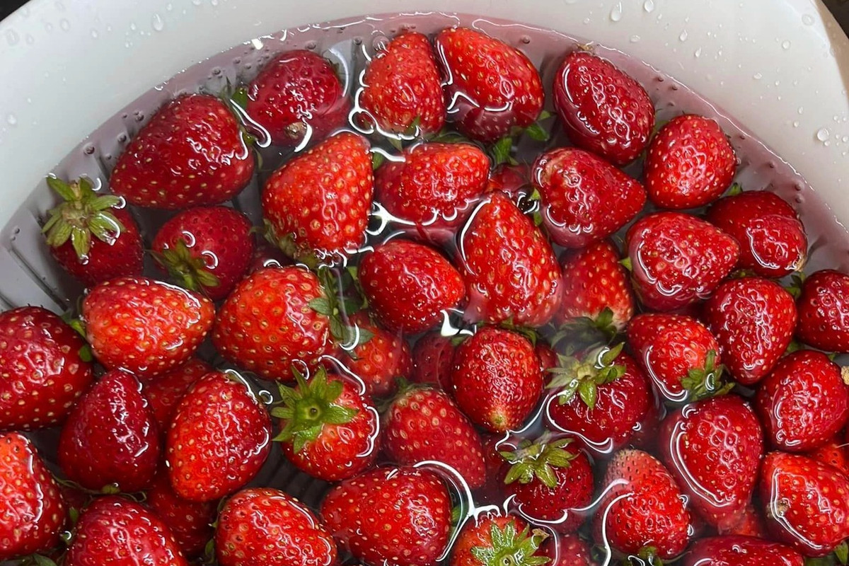 Dâu tây 50.000 đồng/hộp, chất lượng thế nào? - Hình 2 Dau tay 50.000 dong/hop, chat luong the nao?-Hinh-2