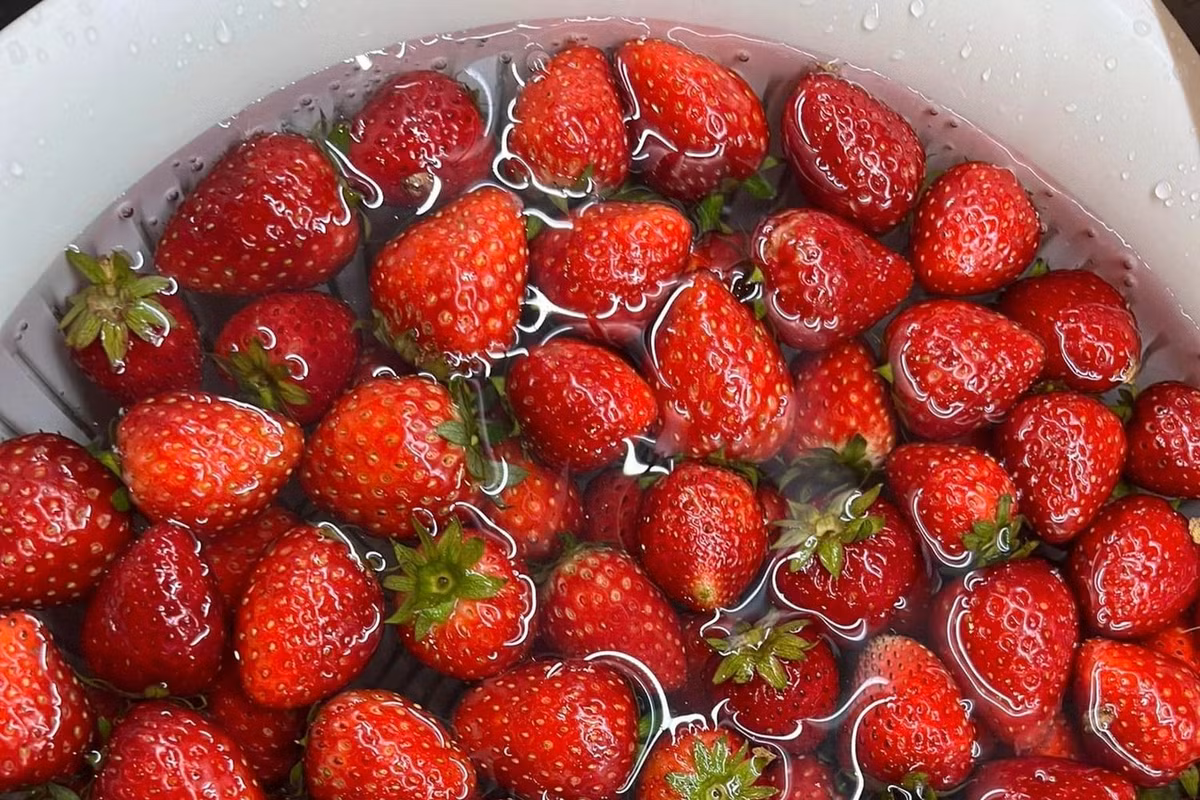 Dau tay 50.000 dong/hop, chat luong the nao?-Hinh-2