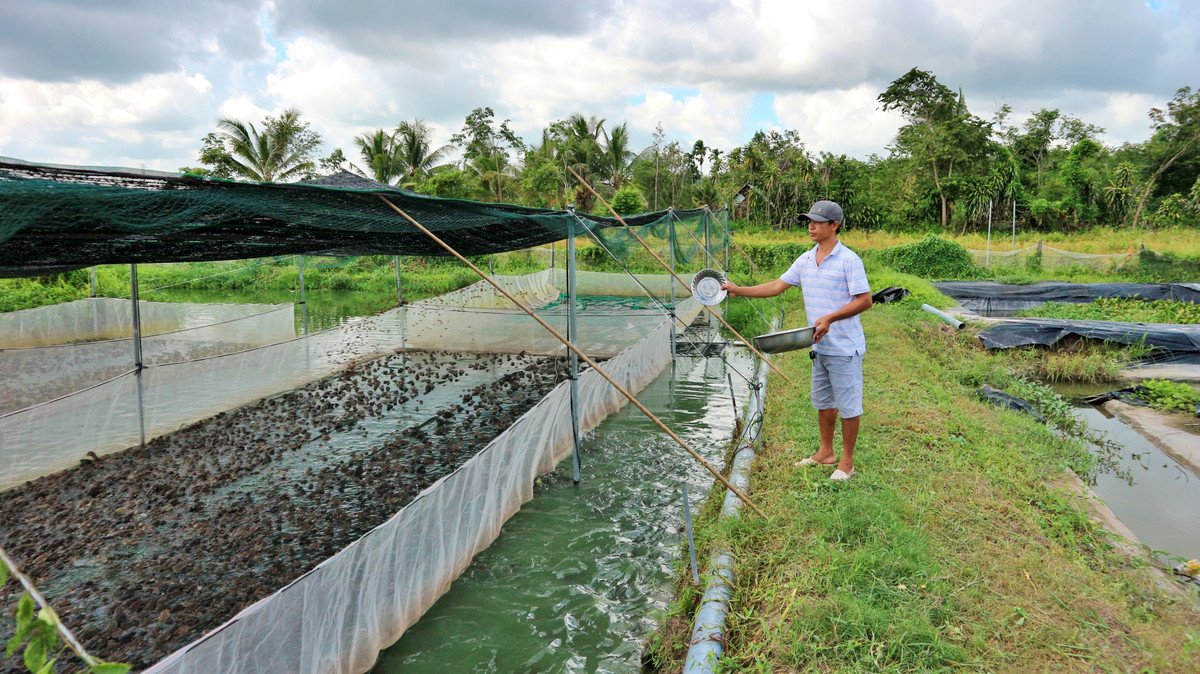 Du lich nong nghiep TP. HCM, lam sao day manh?-Hinh-6