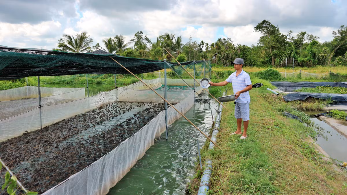 Du lịch nông nghiệp TP. HCM, làm sao đẩy mạnh? - Hình 6 Du lich nong nghiep TP. HCM, lam sao day manh?-Hinh-6