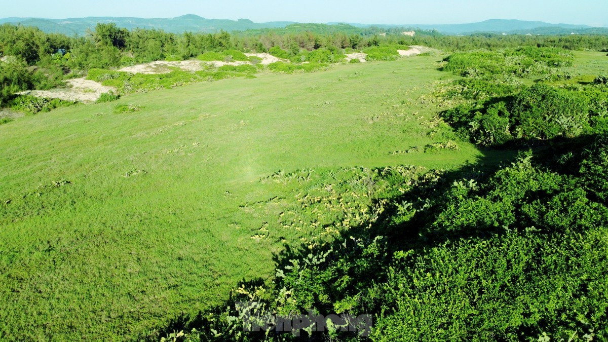 Loat dia diem dep nhu tranh, phai den tai Phu Yen-Hinh-12