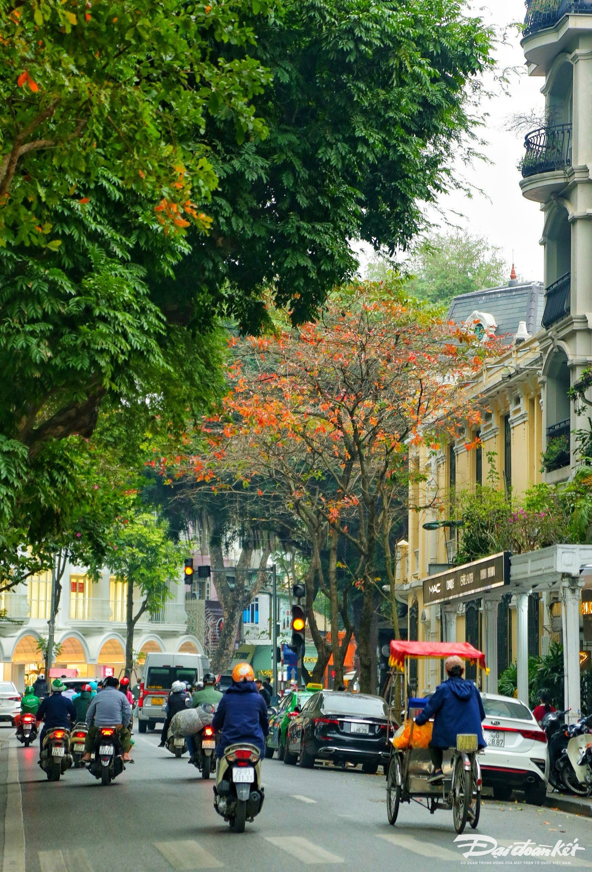 Mua cay thay la, Ha Noi dep ngo ngang-Hinh-9