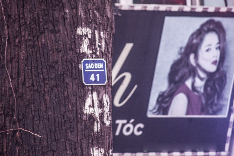 Ha Noi: ngam hang cay sao den tram tuoi tren pho Lo Duc-Hinh-15