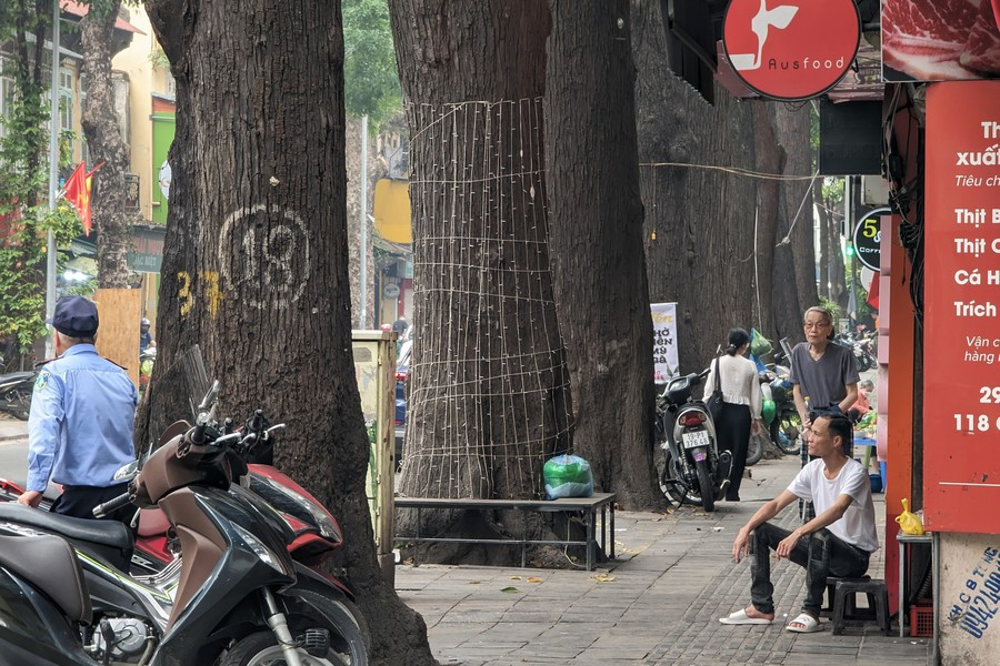 Ha Noi: ngam hang cay sao den tram tuoi tren pho Lo Duc-Hinh-10