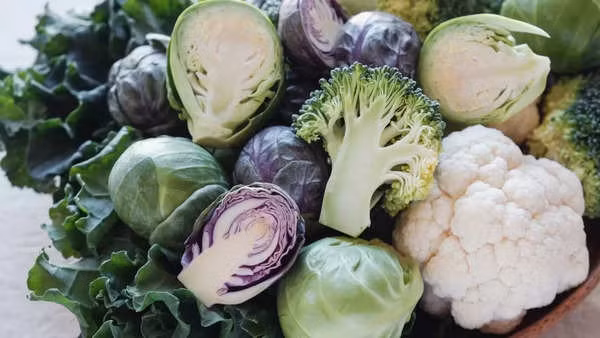 Ly giai ly do nen cat rau cai 40-45 phut truoc khi nau-Hinh-2