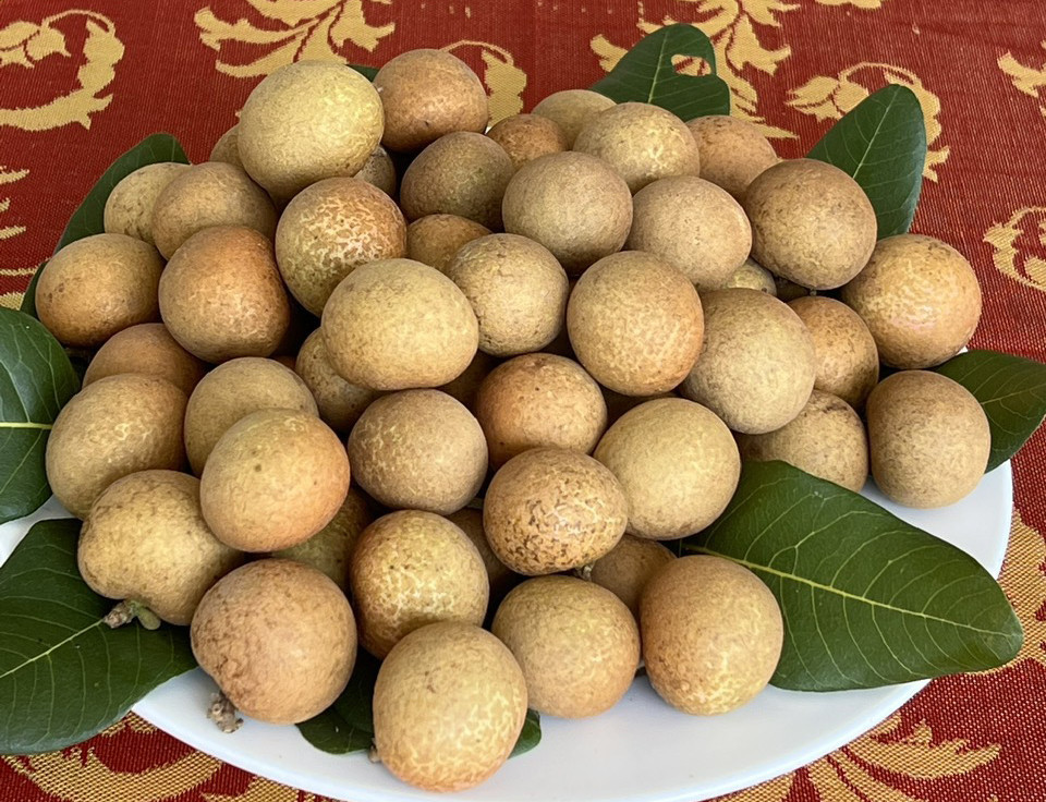 Ty phu mien Tay ben duyen, lam giau voi cay thanh nhan-Hinh-2