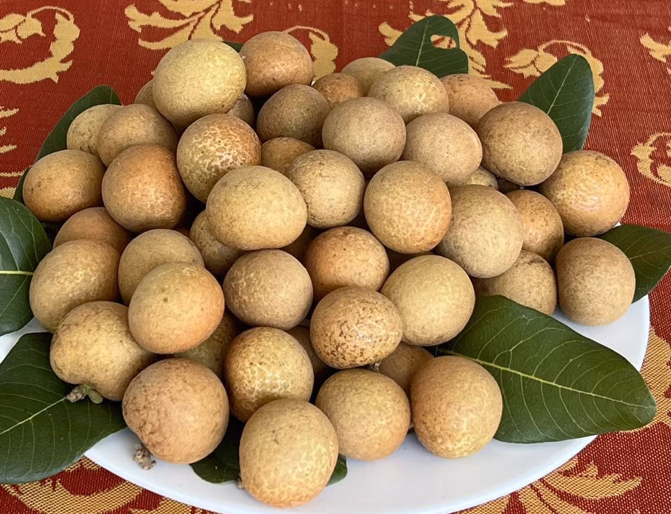 Ty phu mien Tay ben duyen, lam giau voi cay thanh nhan-Hinh-2