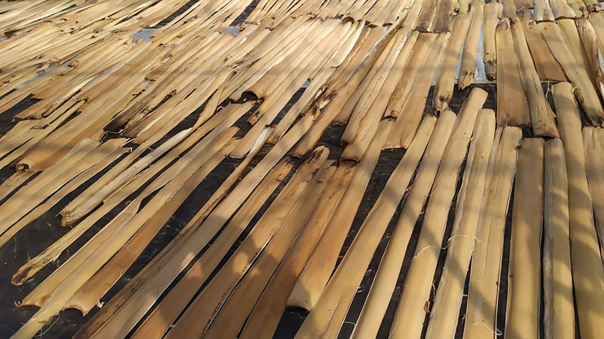 Kiem nua ty moi nam nho bien rac thanh “tac pham“-Hinh-3