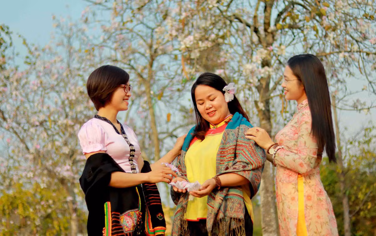 Ruc ro mua hoa ban no tai TP Lai Chau-Hinh-5