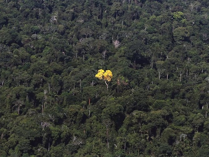 Net dep tuyet voi cua Trai Dat qua chum anh tu tren cao-Hinh-9