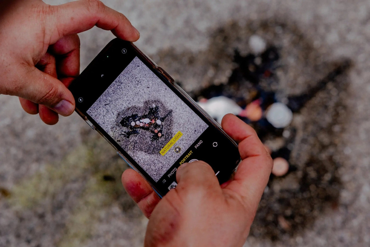 Vet lom gay sot o Chicago 'chet di, song lai'-Hinh-5