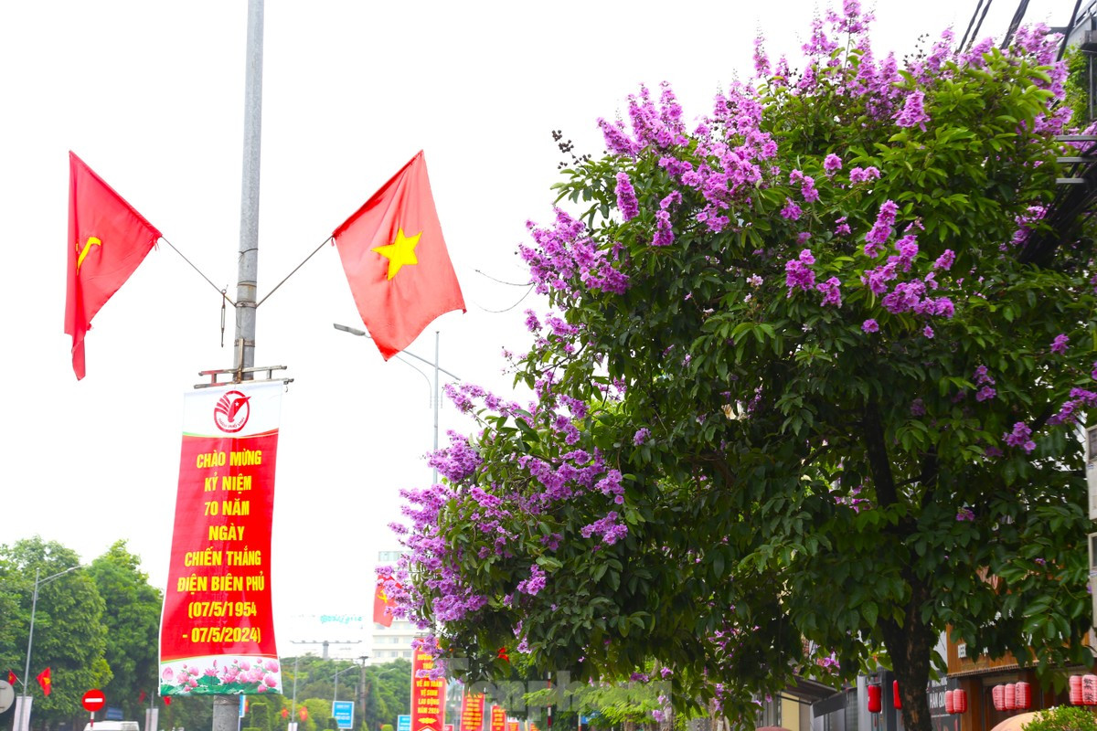 Xu Nghe vao mua hoa bang lang khoe sac-Hinh-5