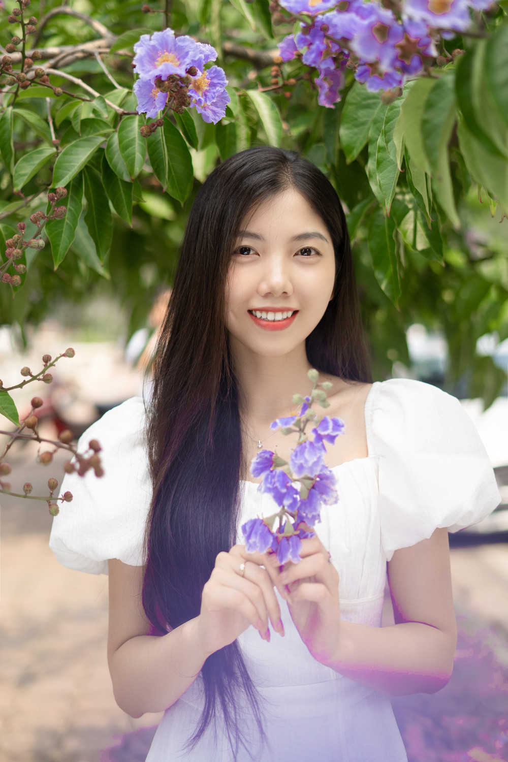 Cay bang lang bong dung noi tieng, du khach keo den check-in-Hinh-4