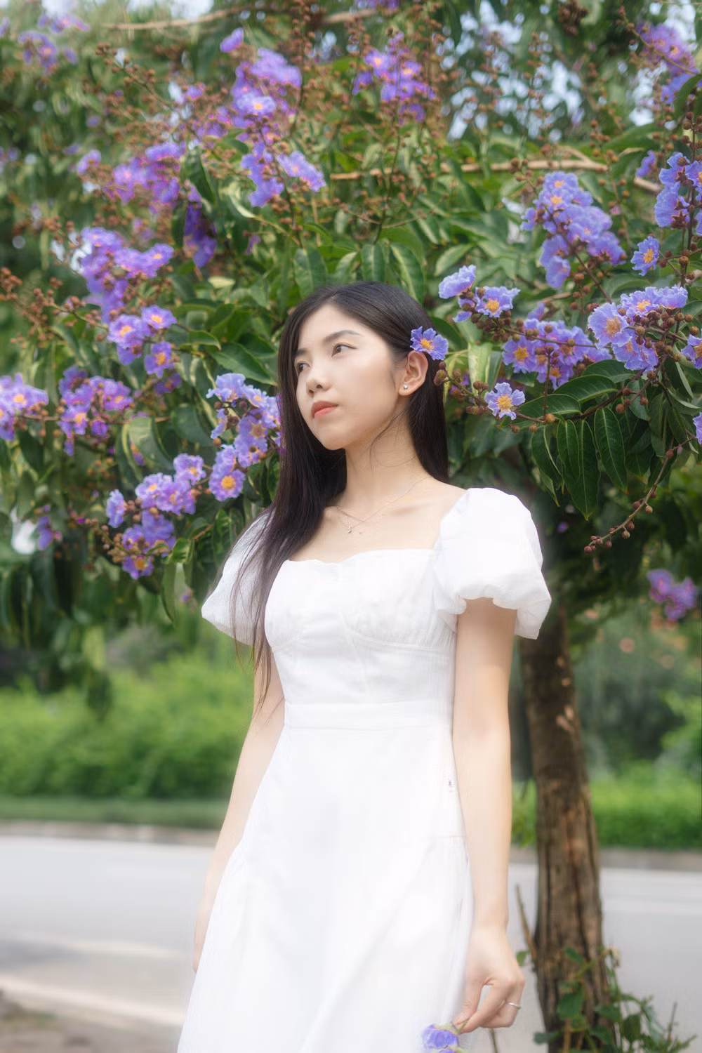 Cay bang lang bong dung noi tieng, du khach keo den check-in-Hinh-5