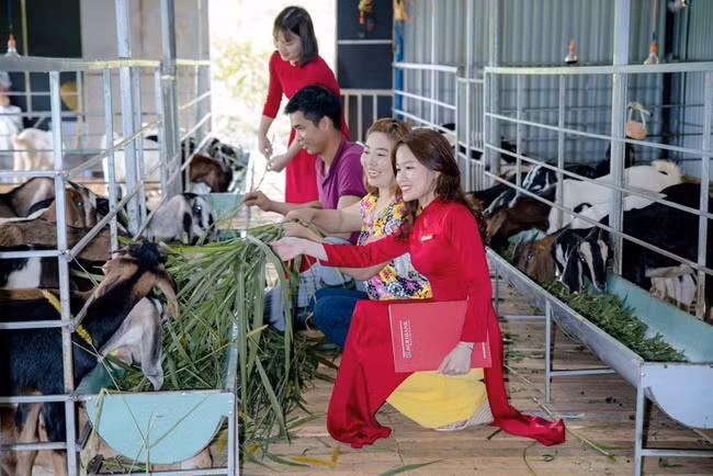 Vay von kinh doanh, nong dan Quang Nam vuon len lam giau