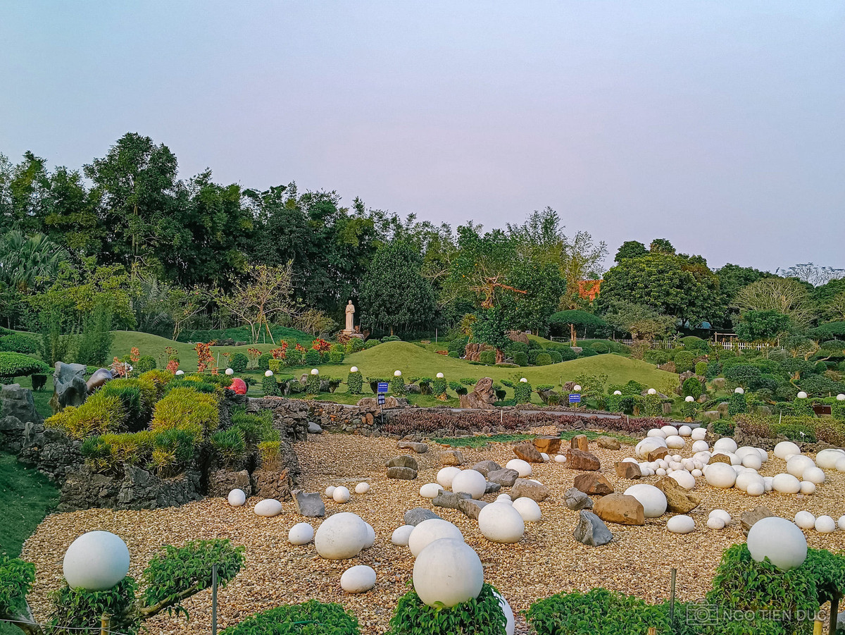 Ngoài nhà thờ, vườn cầu nguyện Fatima cũng là một điểm nhấn đặc biệt của Đan viện với hàng loạt tiểu cảnh, tượng Thánh, bãi trứng đá nhân tạo và giếng đá ong...