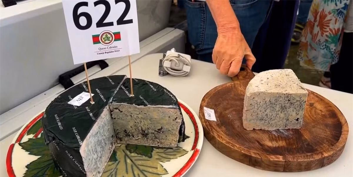 Mieng pho mai dat nhat the gioi va noi cat giu dac biet-Hinh-2