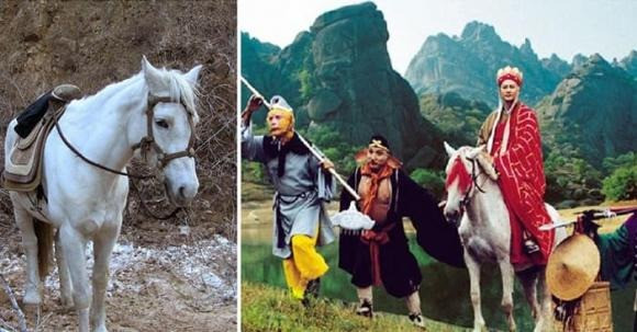 Vi sao Bach Long Ma khong bien thanh nguoi danh yeu quai?