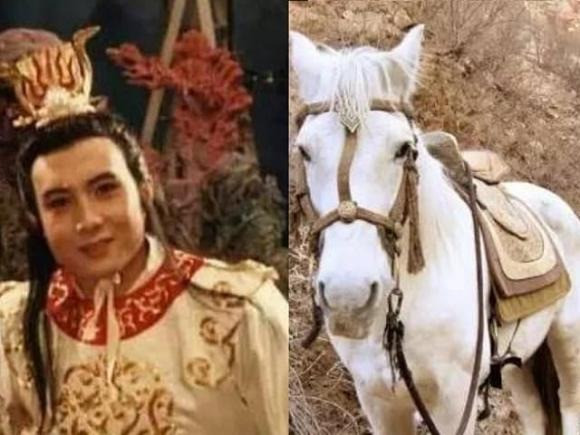 Vi sao Bach Long Ma khong bien thanh nguoi danh yeu quai?-Hinh-5