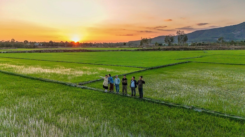 Canh dong Chu Jor - 'buc hoa' cua nguoi nong dan-Hinh-5