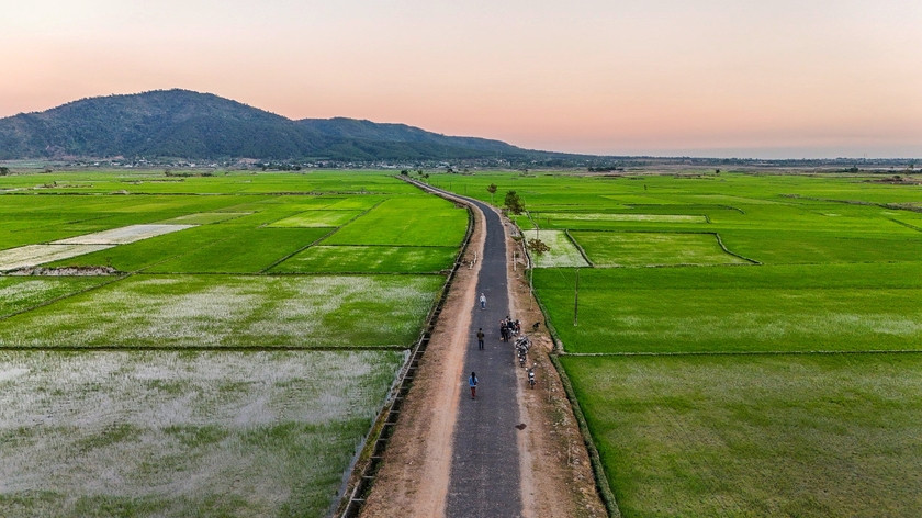 Canh dong Chu Jor - 'buc hoa' cua nguoi nong dan