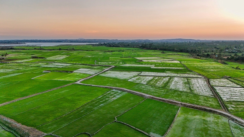 Canh dong Chu Jor - 'buc hoa' cua nguoi nong dan-Hinh-6