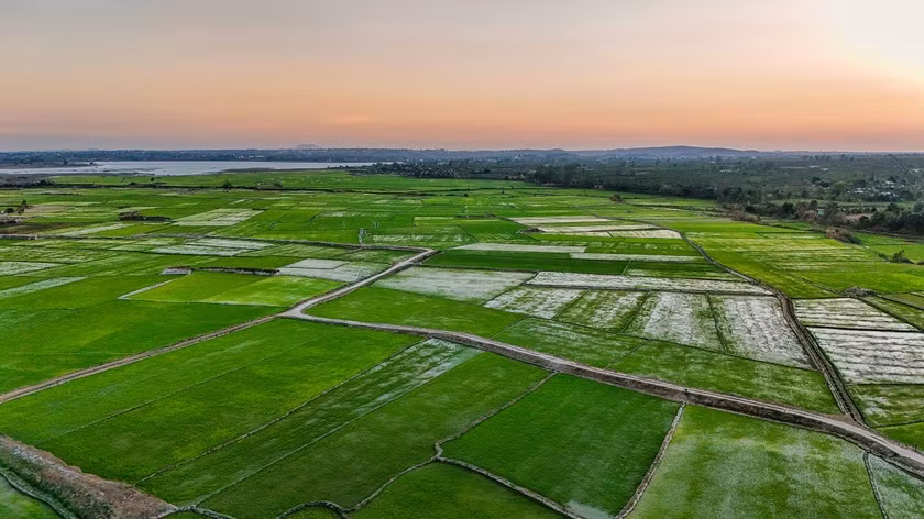 Canh dong Chu Jor - 'buc hoa' cua nguoi nong dan-Hinh-6