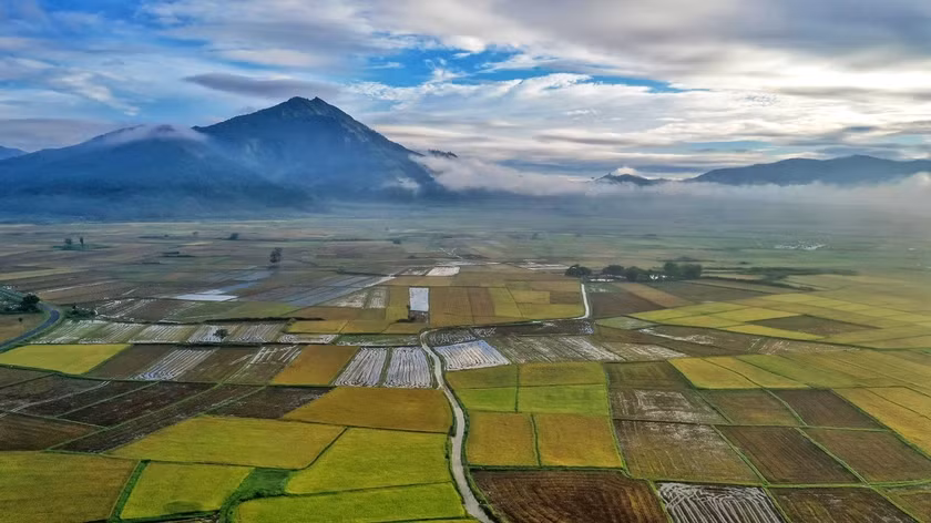 Canh dong Chu Jor - 'buc hoa' cua nguoi nong dan-Hinh-7