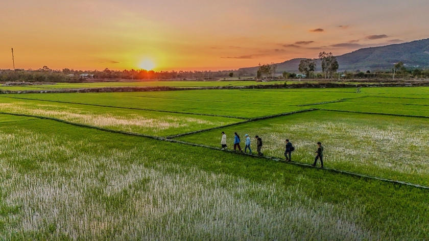 Canh dong Chu Jor - 'buc hoa' cua nguoi nong dan-Hinh-4