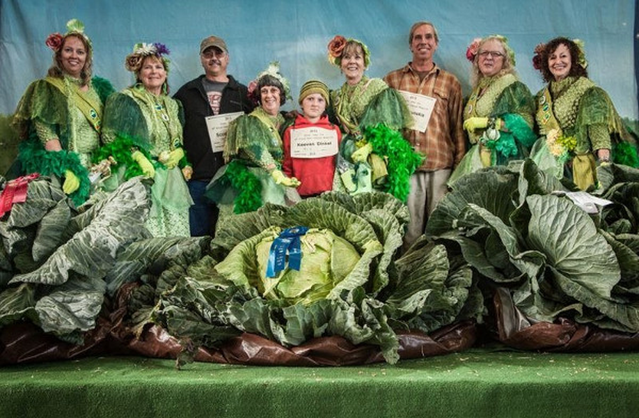 Alaska - vùng đất có rau củ quả khổng lồ đến khó tin - Hình 9 Alaska - vung dat co rau cu qua khong lo den kho tin-Hinh-9