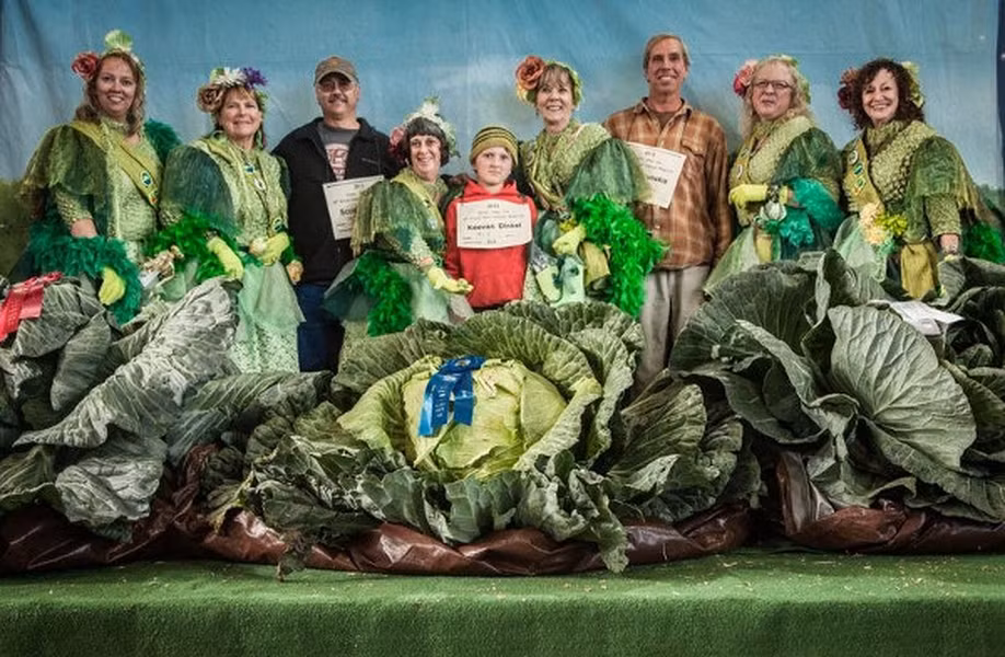 Alaska - vung dat co rau cu qua khong lo den kho tin-Hinh-9