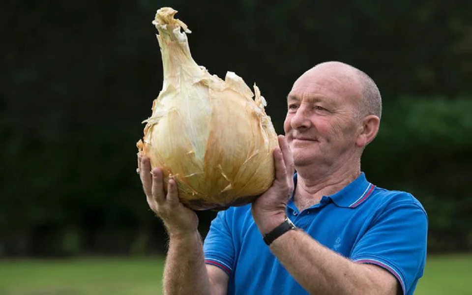 Alaska - vùng đất có rau củ quả khổng lồ đến khó tin - Hình 8 Alaska - vung dat co rau cu qua khong lo den kho tin-Hinh-8