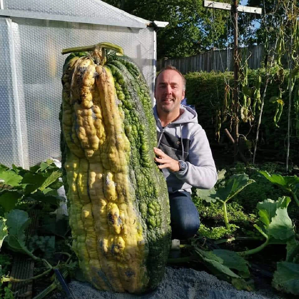 Alaska - vùng đất có rau củ quả khổng lồ đến khó tin - Hình 6 Alaska - vung dat co rau cu qua khong lo den kho tin-Hinh-6