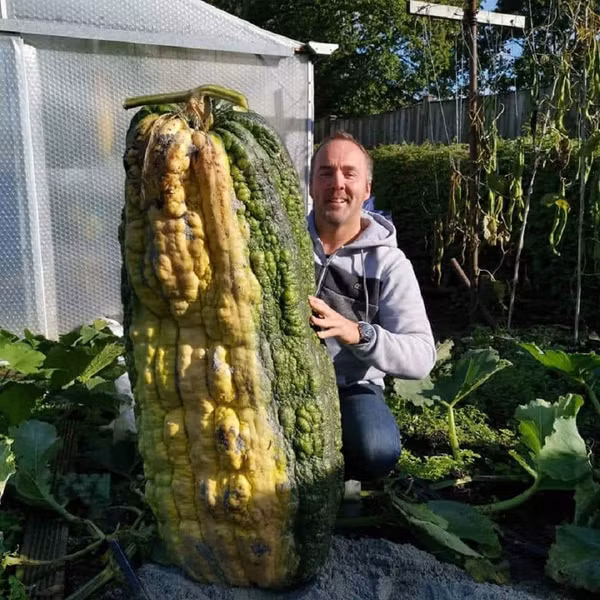 Alaska - vung dat co rau cu qua khong lo den kho tin-Hinh-6