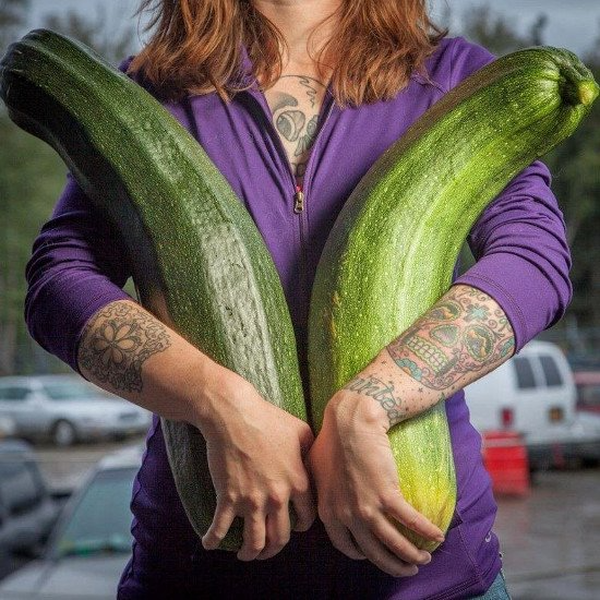 Alaska - vùng đất có rau củ quả khổng lồ đến khó tin - Hình 7 Alaska - vung dat co rau cu qua khong lo den kho tin-Hinh-7