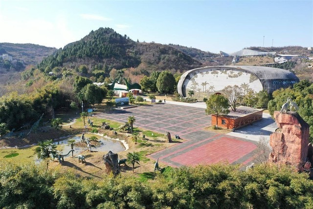 Lu quet vo tinh lam lo “bau vat quoc gia” tai Trung Quoc-Hinh-3