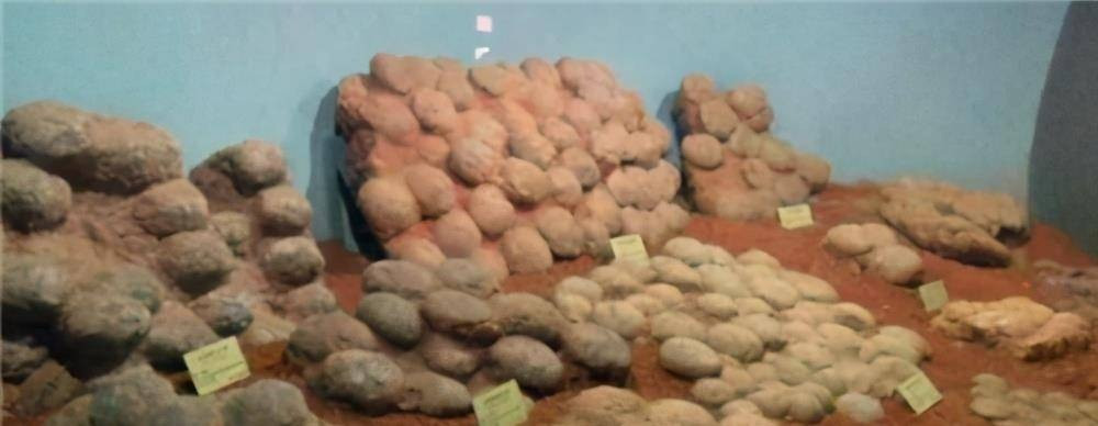 Lu quet vo tinh lam lo “bau vat quoc gia” tai Trung Quoc-Hinh-4