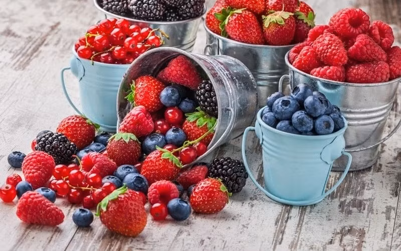 Nguoi Nhat: 3 tranh, 4 gan giup tieu diet te bao ung thu-Hinh-2