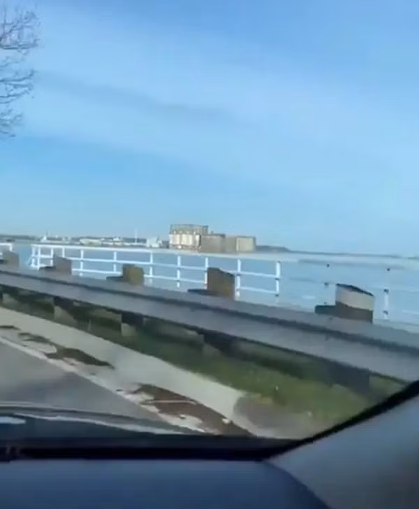 Bi an toa nha “tu thu nho” tai Canada-Hinh-2